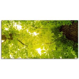 Artland Wandbild "Blick nach Oben im Wald, grüne Bäume", Blätterbilder, (1 St.), als Leinwandbild, Poster in verschied. Größen