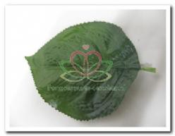 Decoflorall Hortensiablad Zijde 10*15 cm. / st Hortensiablad Z
