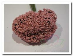 Decoflorall Fieldberries Rose/ bundel voor bloemschikken Fieldberries Ro