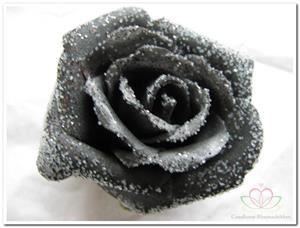 Decoflorall foam Rose Emilia 6cm. snow Black Doos 42 voordeelpak