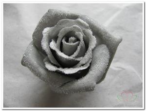 Decoflorall foam Rose Emilia 6cm. snow Grey Doos 42 voordeelpak
