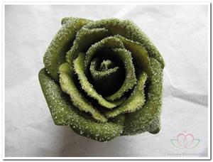 Decoflorall foam Rose Emilia 6cm. snow Smaragd Green BUNDEL 7 bundel 7 stuks