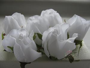 Decoflorall Roosjes 5-6cm. Zijde Best Quality Pure White 10 st Roos zijdebloem