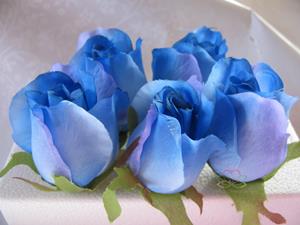 Decoflorall Roosjes 5-6cm. Zijde Best Quality Blue Blauw 2 tone10 st Roos zijdebloem
