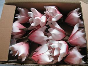 Decoflorall Magnolia foambloem Kort Soft Roze DOOS 12 stuks Magnolia