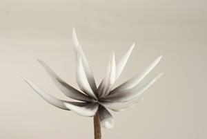 Decoflorall Cactus flower Licht Grijs 16cm. 10 stuks foam Cactus flower foam