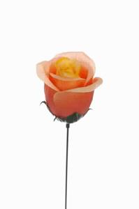 Decoflorall Rose bud Roos op draad Oranje Rose bud Roos