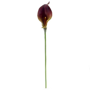Decoflorall Calla Real Touch BROWN/BURGANDY +/- 7 cm. en 37cm lang. / st Calla Real Touch +/- 7 cm.