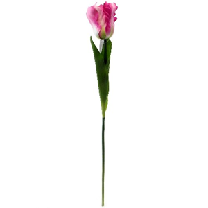 Decoflorall Tulp Parkiettulp PINK/ stuks. 56cm. Tulpen