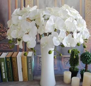 Decoflorall PHALAENOPSIS Orchidee SPRAY IVORY 77cm. PHALAENOPSIS ORCHID SPRAY