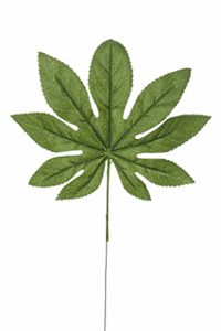 Decoflorall Araliablad l50cm groen Super mooi
