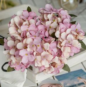 Decoflorall Hortensia bundel met 6 takken +/- 30 cm Mauve-Creme Hortensia Prachtige kleur