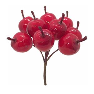 Decoflorall Appeltjes rood bundel  +/- 10 stuks kleine rode appeltjes