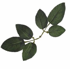 Decoflorall Rozenbladeren donkergroen, 17cm  zak +/- 120st zelf bloemen maken