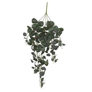 Decoflorall Hanger vuller Eucalyptus blaadjes Groene hangplanten