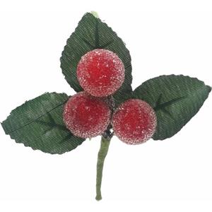 Decoflorall Besjes FROSTED RASPBERRY PICK RED Rood 10 cm/ zakje 6 st ook leuk als corsage