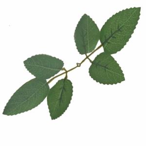 Decoflorall Rozenbladeren Groen, 17cm  zak +/- 120st zelf bloemen maken