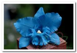 Decoflorall Blauwe Orchidee zijdebloem kunstbloem, kunstorchidee Blauwe Orchidee