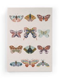 Wanddecoratie Butterflies |