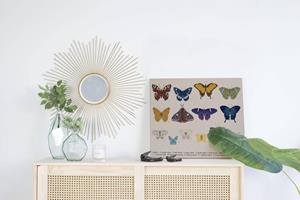 Wanddecoratie Colorful Butterflies |