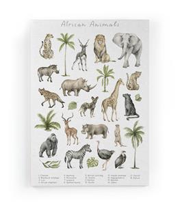 Wanddecoratie African Animals |