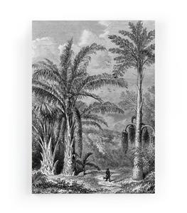 Wanddecoratie Jungle Path |