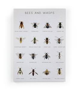 Wanddecoratie Bees |