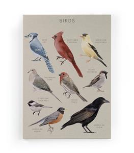 Wanddecoratie Birds |