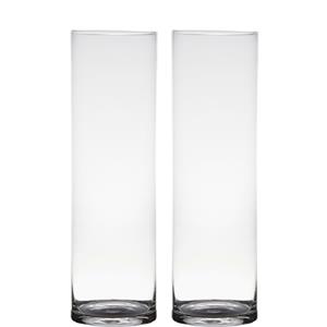 Merkloos Set van 2x stuks transparante home-basics cylinder vorm vaas/vazen van glas 50 x 15 cm -
