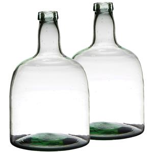 Merkloos Set van 2x stuks flessenhals bloemenvazen van glas 30 x 19 cm -