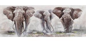 Home affaire Ölbild "Elephant", Elefanten-Tiere