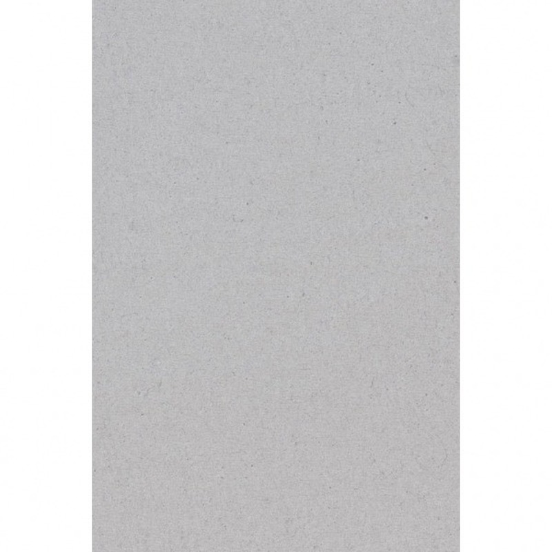 Merkloos 2x Zilveren papieren tafelkleden 137 x 274 cm -