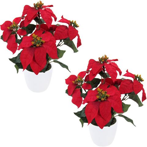 Creativ deco Winterse kunstplant Kerstversiering rood set van 3, inclusief keramieken pot (set, 2 stuks)