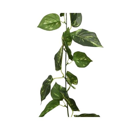 Efeutute Blätter-Girlande Grün panaschiert 180 cm - Kunstpflanzen - Kaemingk
