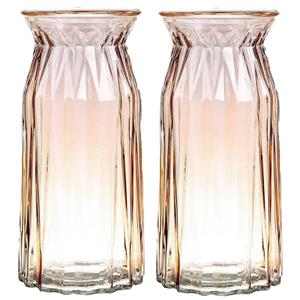 Bellatio Design Bloemenvaas - set van 2x - amber bruin - transparant glas - D12 x H24 cm -