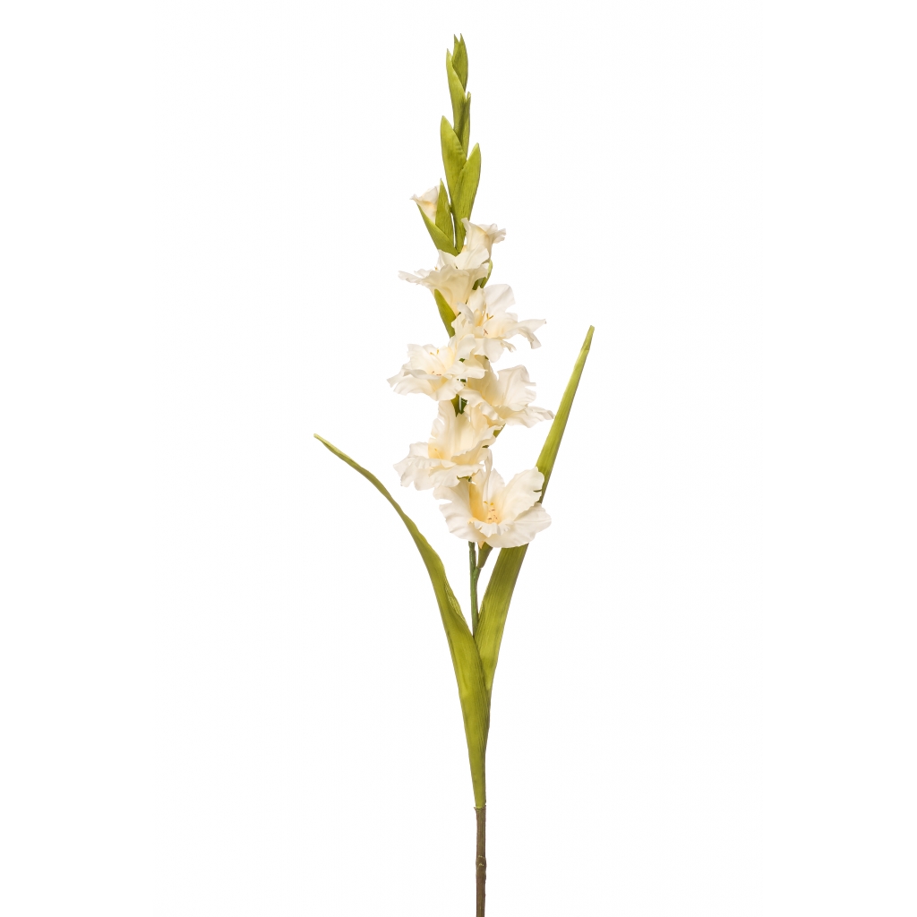 Woonexpress Gladiolus spray