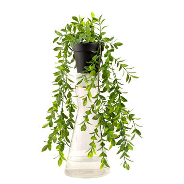 Leen Bakker Kunst hangplant Ficus Pumila - groen - 30 cm