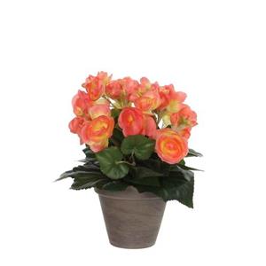 Mica Decorations Kunstplant Begonia - 25x25x30 Cm - Poly - Zalm