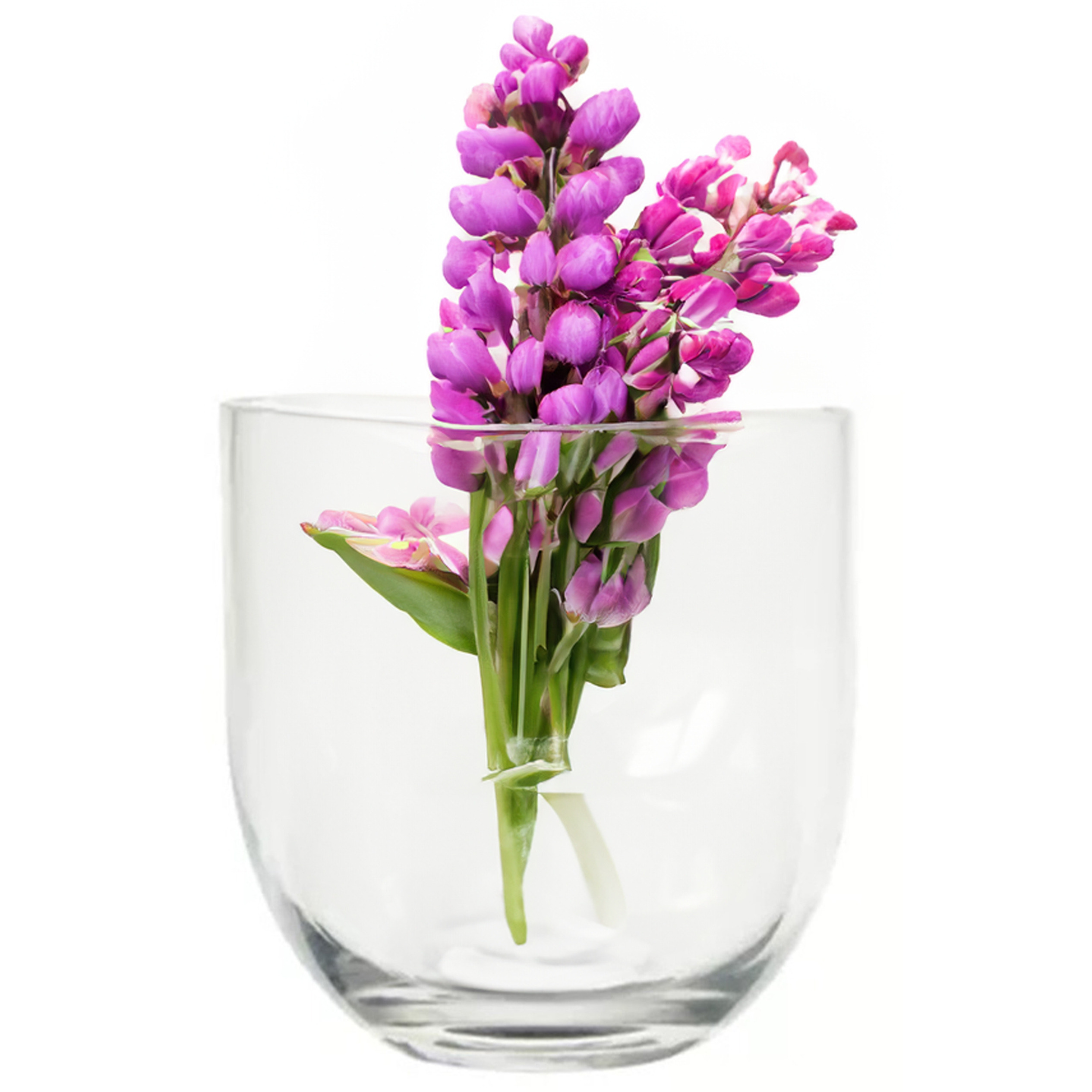 Merkloos Bloemenvaas Karel - helder transparant glas - D19 x H19 cm - decoratieve vaas - bloemen/takken -