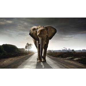 Reinders! Artprint Olifant koning