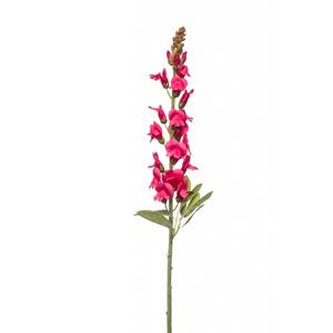 Woonexpress Antirrhinum spray