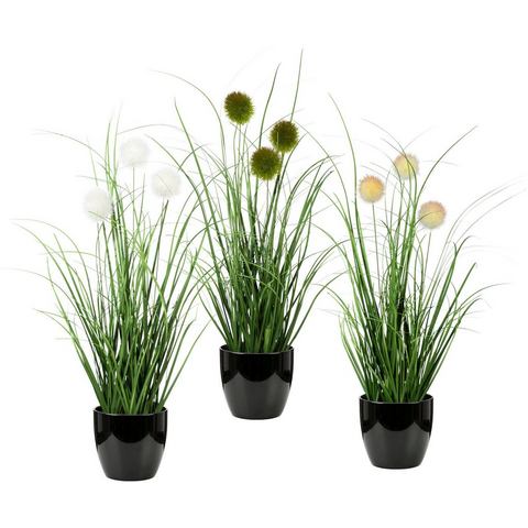 Leonique Kunstgras "Grasbusch mit Kletten", Kunstpflanze, Gras, im Topf, 3er-Set