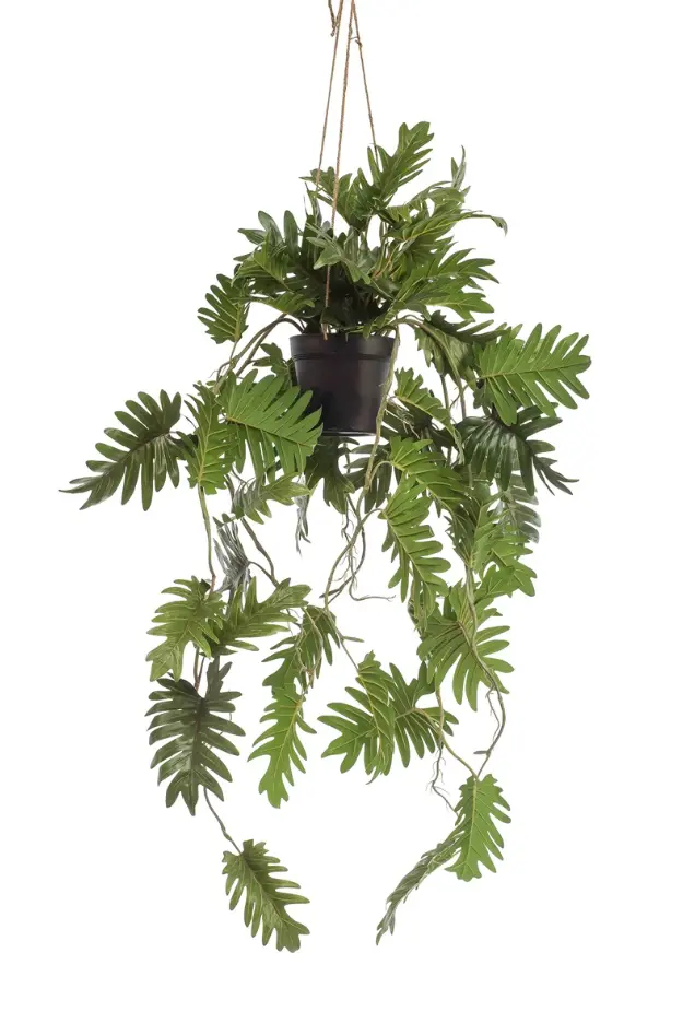 Emerald Kunstplant Philodendron hangend in pot - 80cm