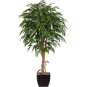 Creativ green Kunstplant Weeping-ficus (2-delig)