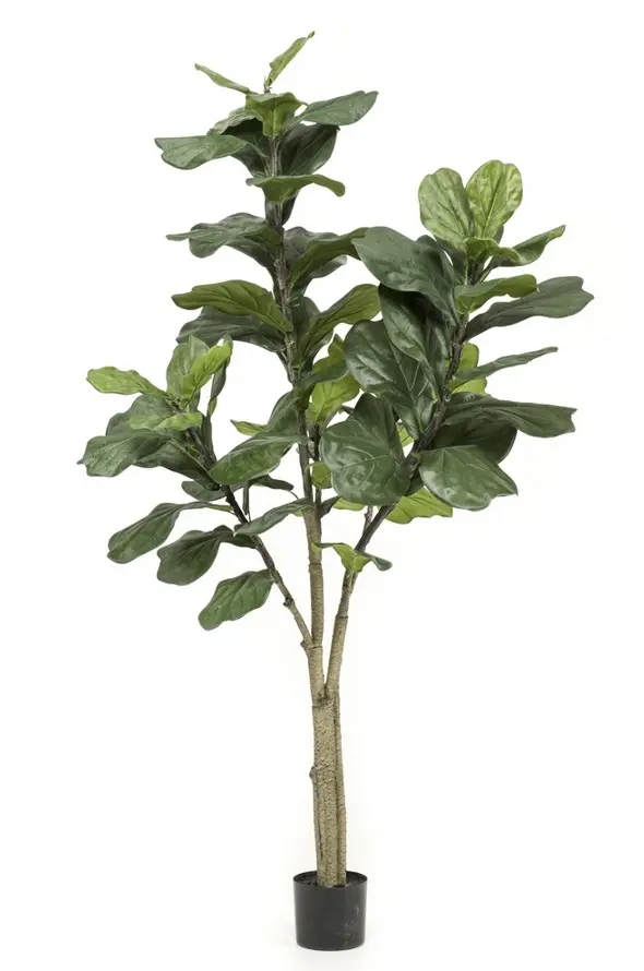 Emerald Kunstplant Ficus Lyrata - 180cm