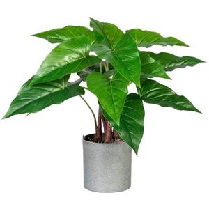 Creativ green Kunst-potplanten Anthurium in een melamine pot (1 stuk)