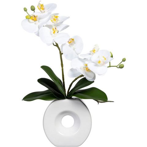 Creativ green Kunstorchidee Vlinderorchidee in keramische vaas (1 stuk)
