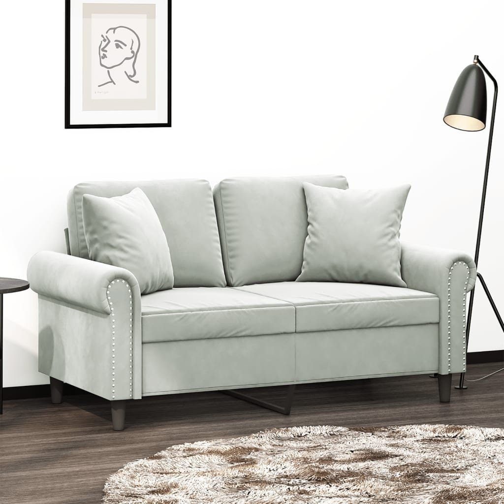 bonnevie 2-Sitzer-Sofa mit Zierkissen Hellgrau 120 cm Samt vidaXL820204