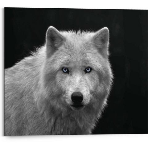 Reinders! Artprint Witte wolf