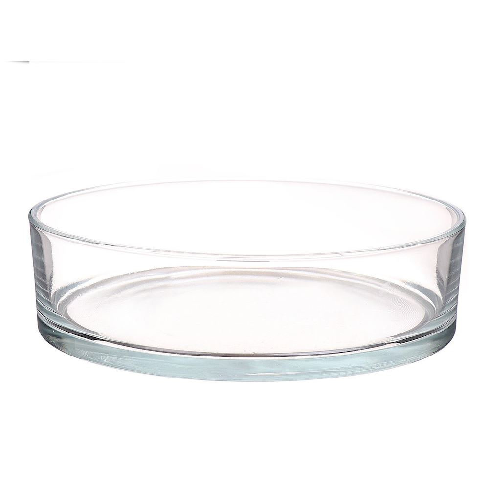 Merkloos Lage schaal/vaas transparant glas cilindervormig 8 x 29 cm -